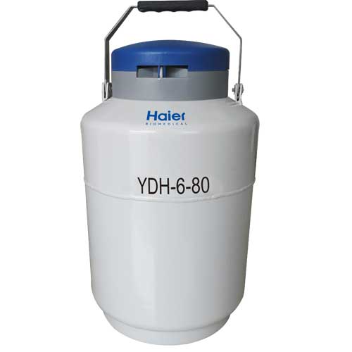 18-2、YDH-6-80.jpg