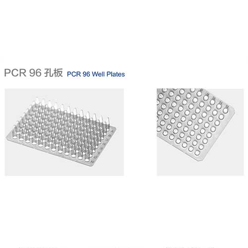 PCR-96孔板-圖1.jpg